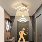 Ceiling Light Motion Detector