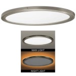 Led Flush Mount Ceiling Light Reviews