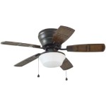 Outdoor Flush Mount Ceiling Fans With Lights