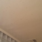 What Are The White Circles On Ceiling